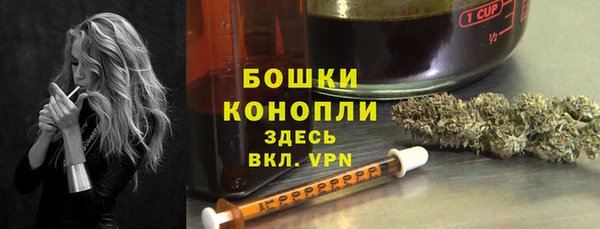 мяу мяу мука Тайга