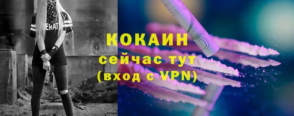 мяу мяу мука Тайга
