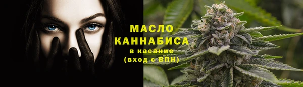 стаф Тавда