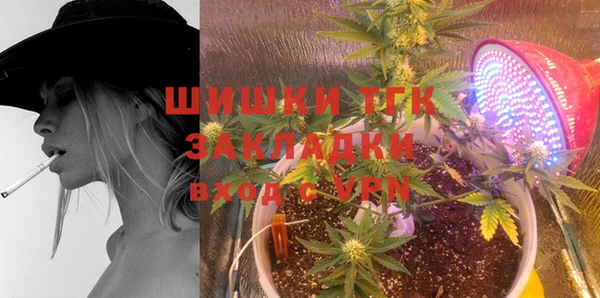 стаф Тавда