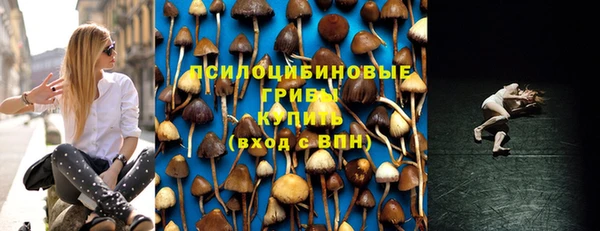стаф Тавда