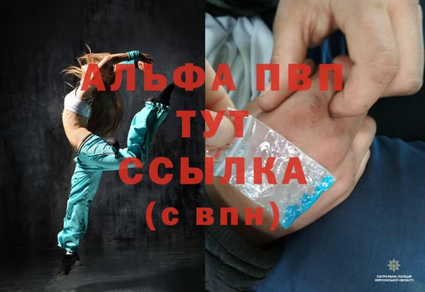 стаф Тавда