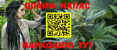 амф Гай
