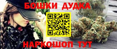 амф Гай