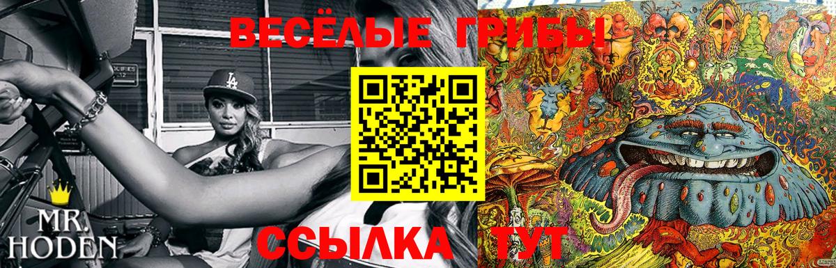 Галлюциногенные грибы мухоморы  Вход с VPN  Баксан 