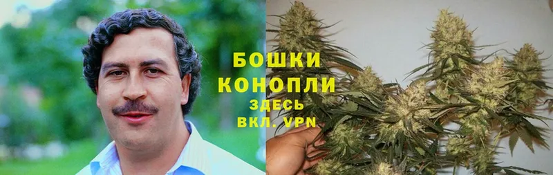 Конопля LSD WEED  где купить   Баксан 