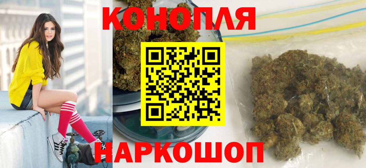 Каннабис планчик Баксан